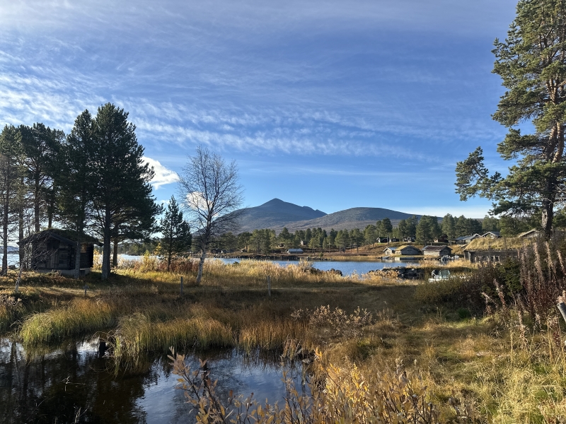 Sølen